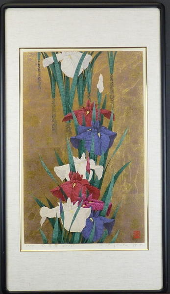 Iris No 135