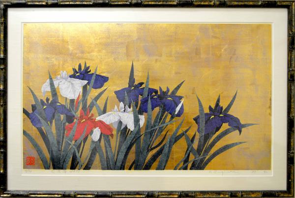 Iris No 81