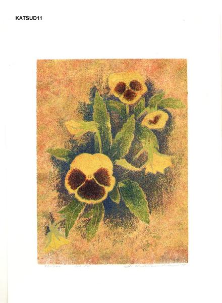 No 84 Pansy