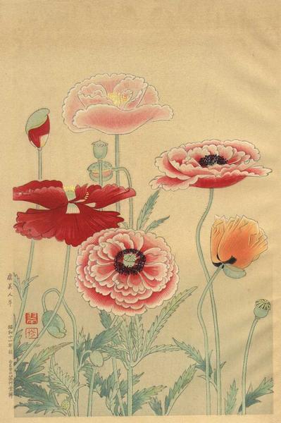 Poppies