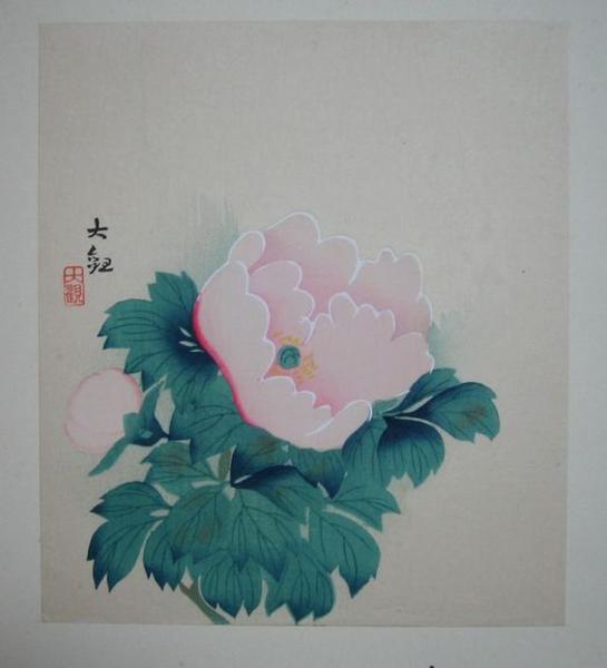 Camelia