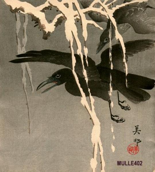 Crows in snow