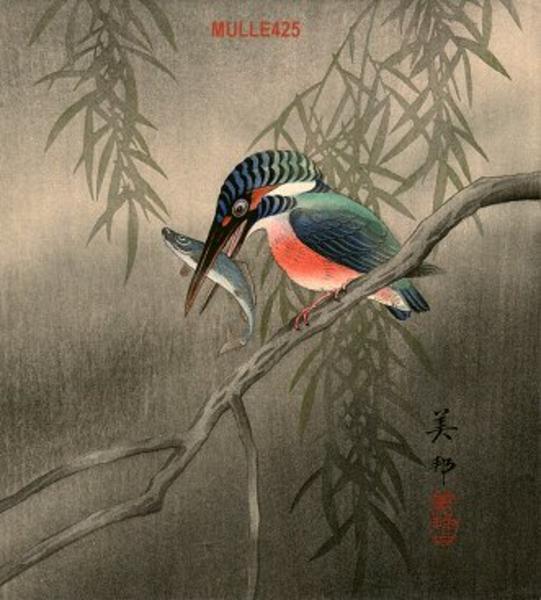 Kingfisher