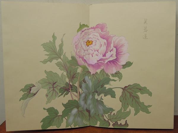 Cotton Rose Lotus Peony
