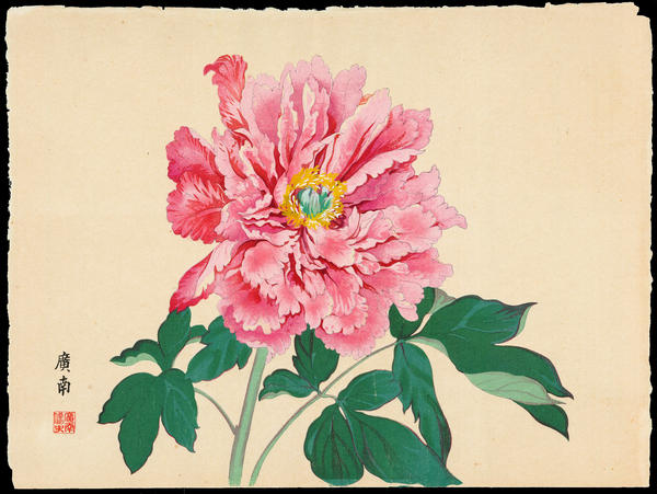 Rays of the Morning Sun Peony
