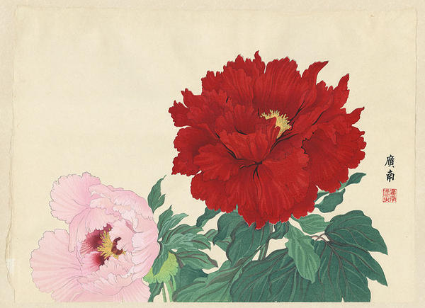 Shokko Brocade and Paradise Perfume