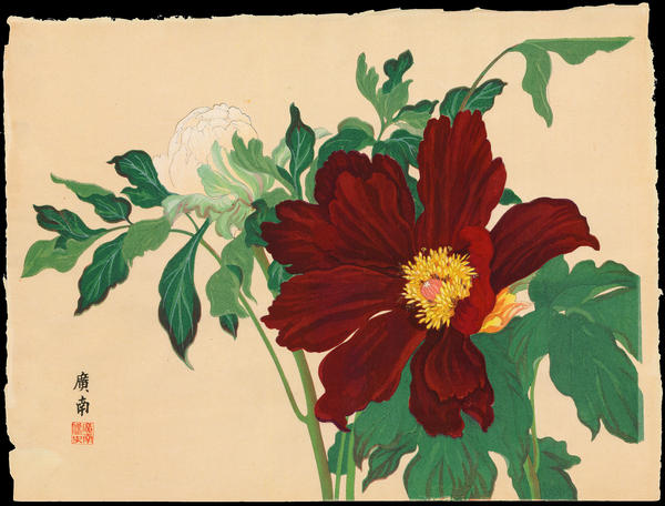 Sumi-no-ichi and Eternity Lion Peonies