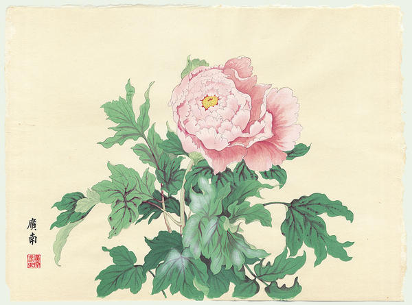Cotton Rose Lotus Peony