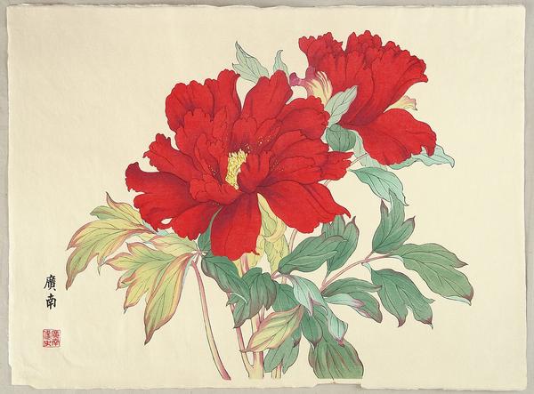 Eastern Brocade Peony