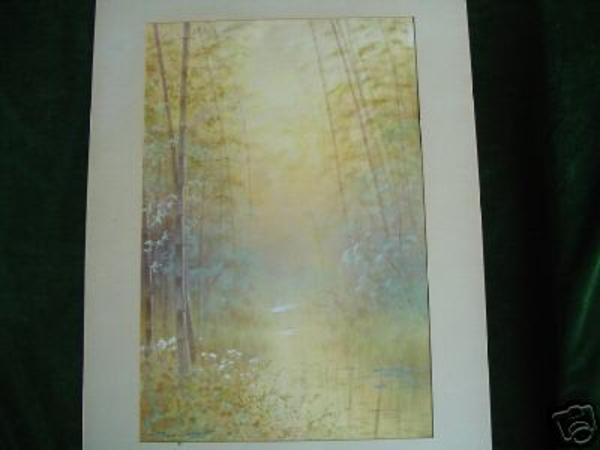 Bamboo forest