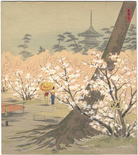 Cherry Trees at Omuro