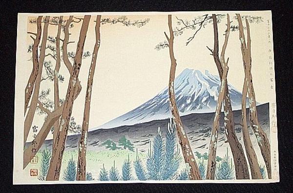 Mt Fuji