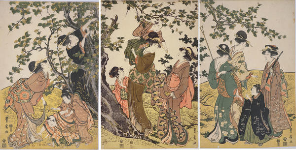 Picking Plum