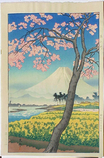 Banyugawa