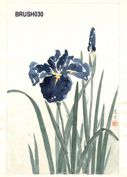 Floral, Irises