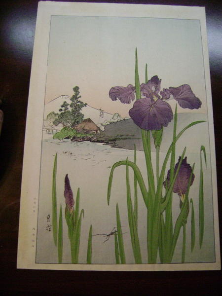Iris and Mt Fuji