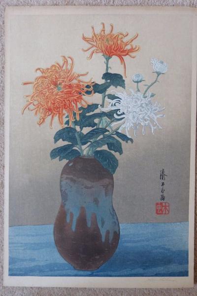 Chrysanthemum
