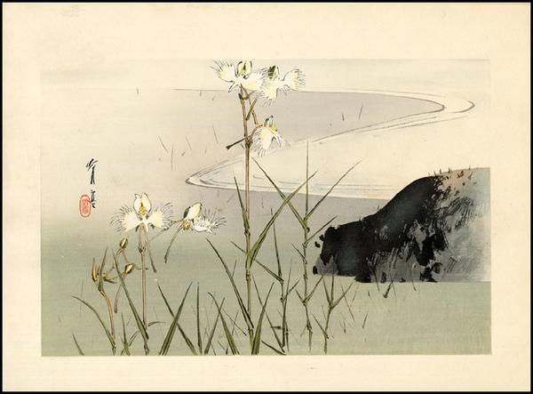 Bamboo in the Water
