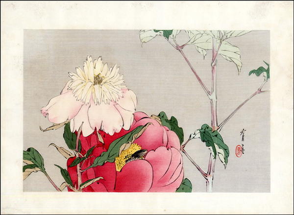 Peony and Bee