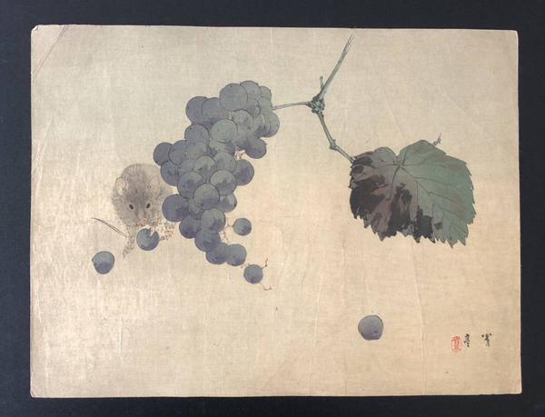 Grapes and Mouse