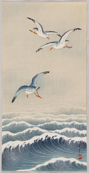 Seagulls