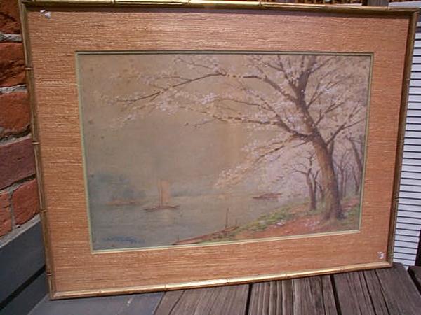 Cherry trees beside river with boats