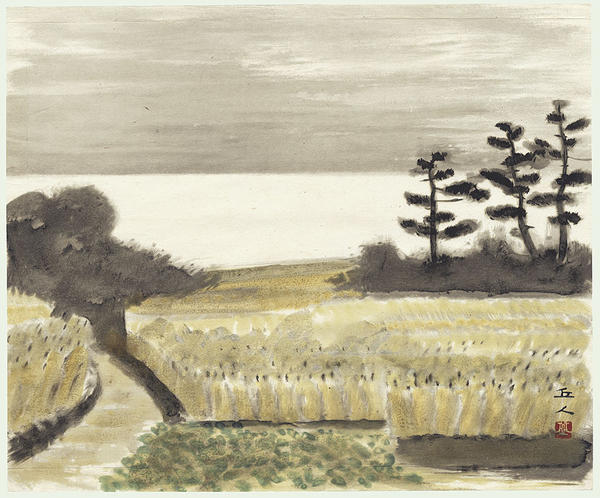 Ricefield