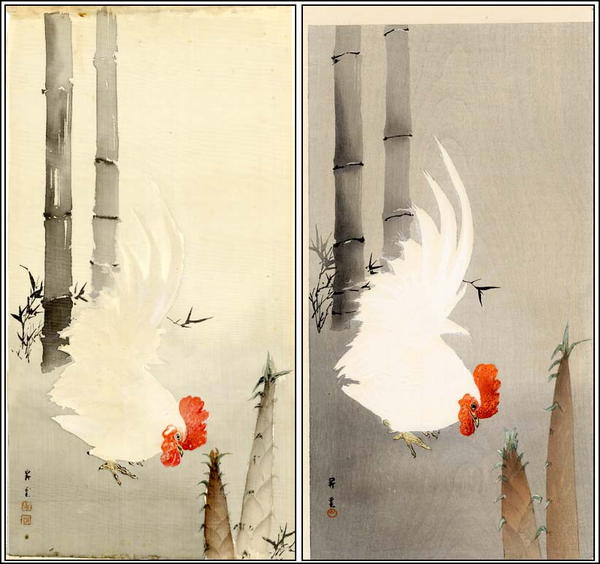 White Cockerel