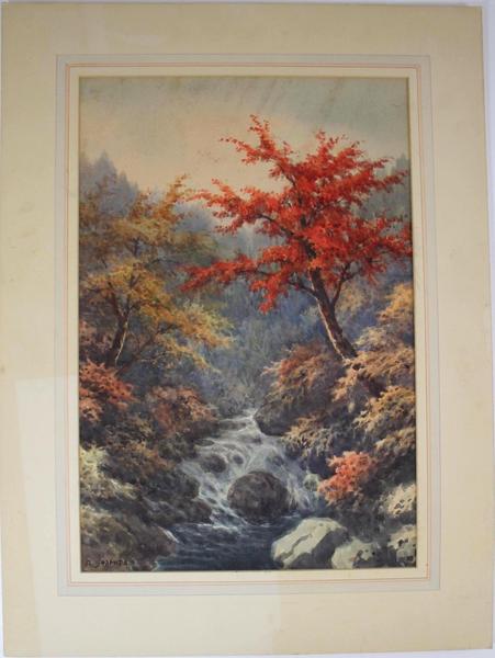 Autumn Stream