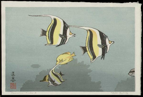 Hawaiian Fishes A