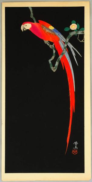 Macaw on Flowering Branch