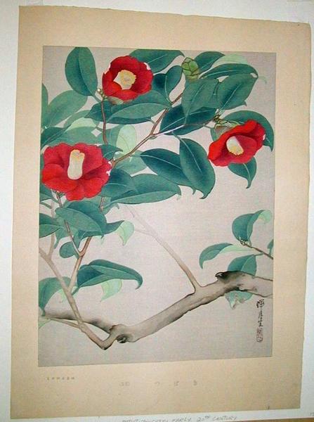 Flowers 2